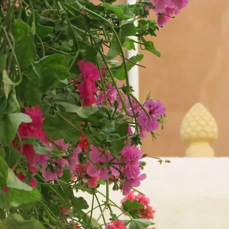Casa Marsalia Guest house